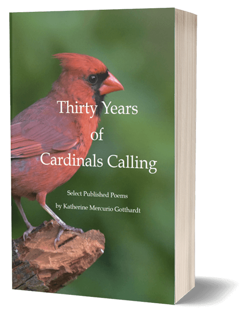 thirty-years-of-cardinals-calling-cover (1)