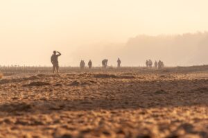 beach, seashore, sand-8260614.jpg