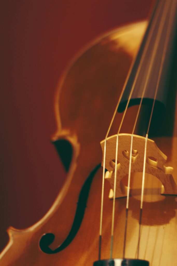 A detailed close-up of a violin showing the strings and bridge, highlighting craftsmanship.